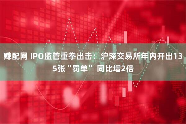 赚配网 IPO监管重拳出击：沪深交易所年内开出135张“罚单” 同比增2倍
