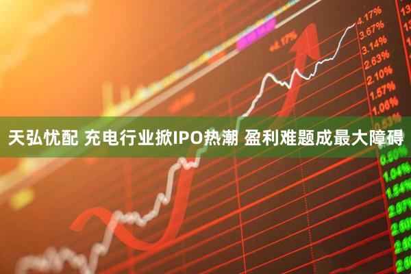 天弘忧配 充电行业掀IPO热潮 盈利难题成最大障碍