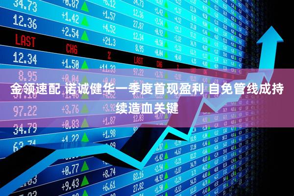 金领速配 诺诚健华一季度首现盈利 自免管线成持续造血关键