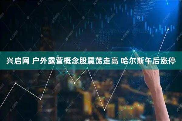兴启网 户外露营概念股震荡走高 哈尔斯午后涨停