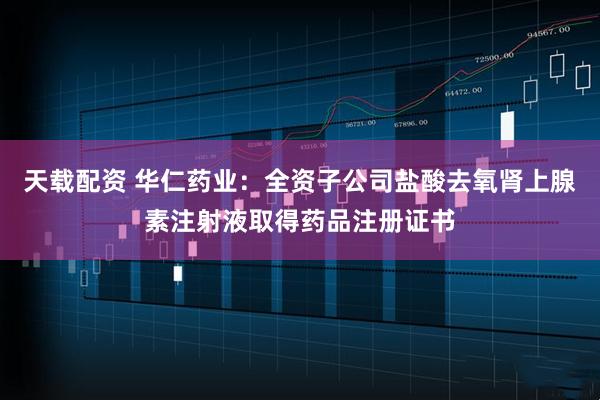 天载配资 华仁药业：全资子公司盐酸去氧肾上腺素注射液取得药品注册证书