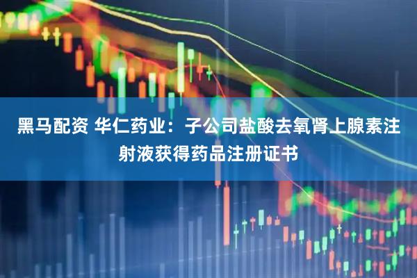 黑马配资 华仁药业：子公司盐酸去氧肾上腺素注射液获得药品注册证书