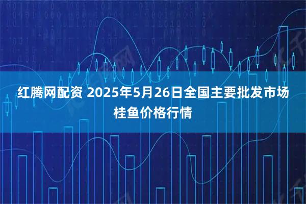 红腾网配资 2025年5月26日全国主要批发市场桂鱼价格行情