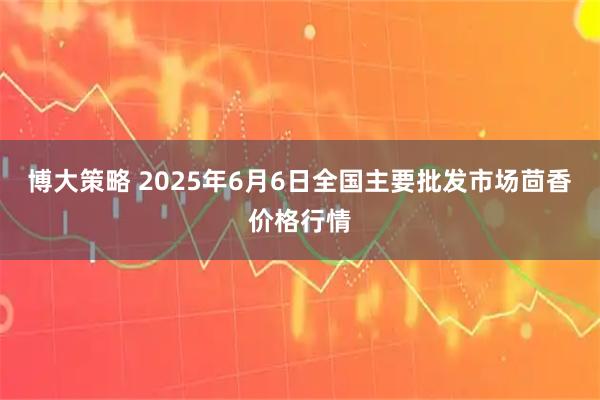 博大策略 2025年6月6日全国主要批发市场茴香价格行情