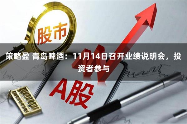 策略盈 青岛啤酒：11月14日召开业绩说明会，投资者参与