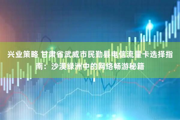 兴业策略 甘肃省武威市民勤县电信流量卡选择指南：沙漠绿洲中的网络畅游秘籍